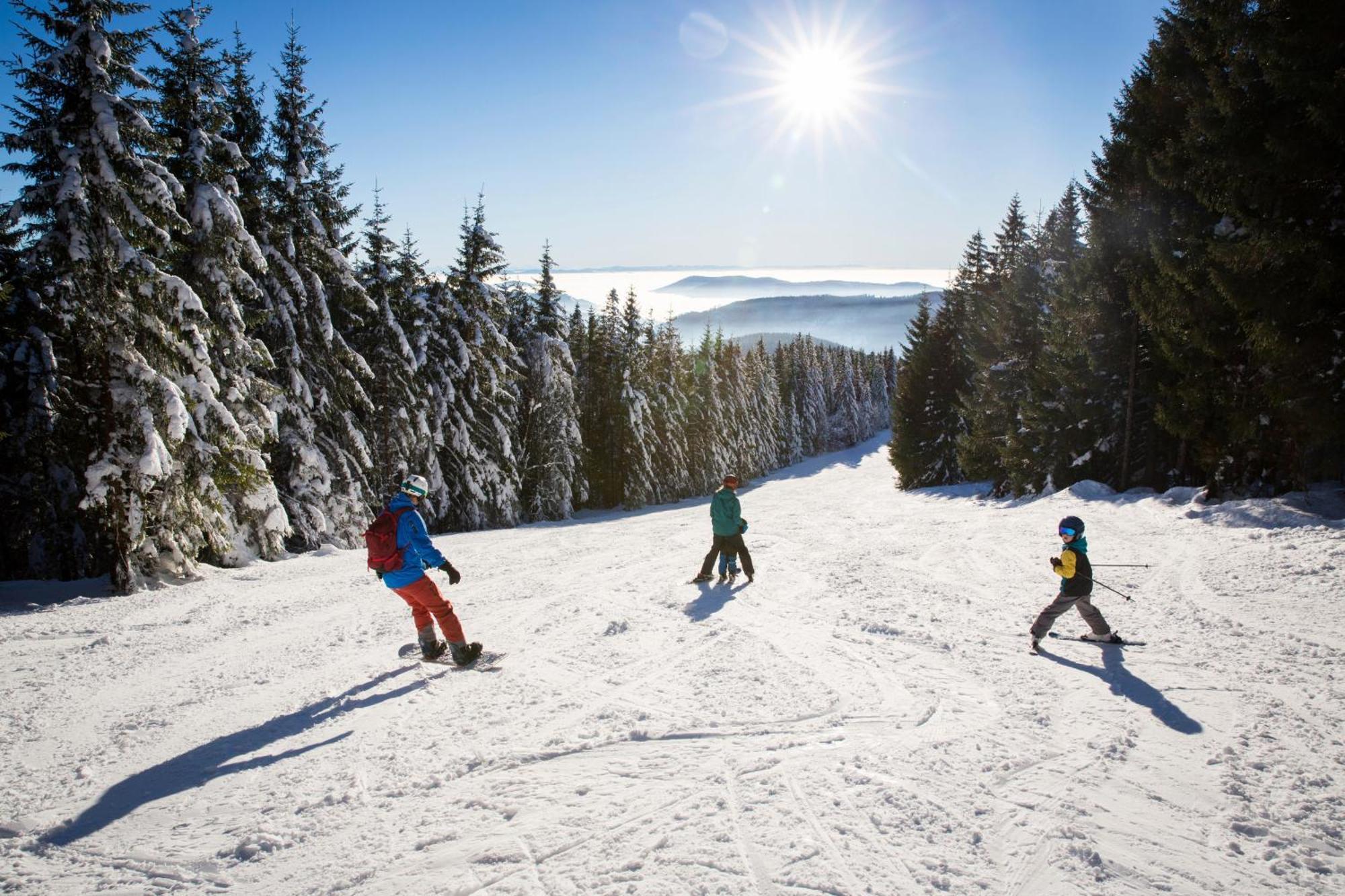 Haus Wiesenquelle - Fewo 14 "Timeout", Feldberg Rinken Экстерьер фото
